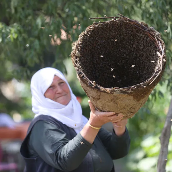 Kırklareli'nde Arıcılık Geleneği: 30 Yıllık Sepet Sırrı!
