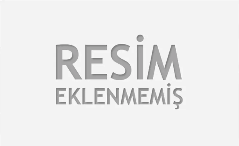 Arıların Fısıltısında Bir Gün