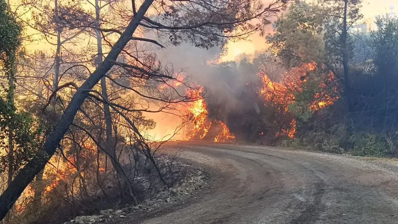 Balıkesir'deki orman yangınına müdahale sürüyor