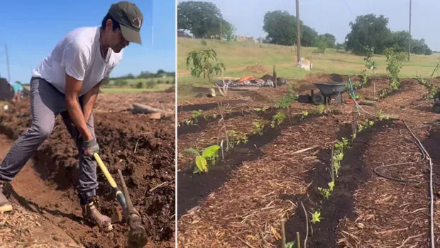 Bir zamanlar hızlı hayatından başı dönüyordu... Huzuru doğduğu topraklarda buldu... Şimdi çiftçiliğin dersini veriyor