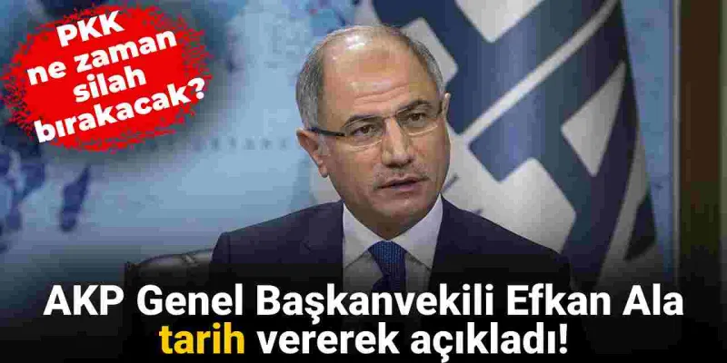 Efkan Ala PKK'nın silah bırakacağı tarihi açıkladı