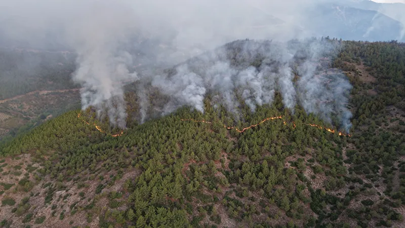 Hatay'da çıkan yangına müdahale ediliyor