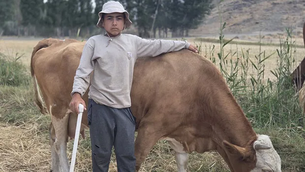 12 Yaşındaki Alperen'den Hayvan Sevgisi! İneklerine Bakın Ne İsim Veriyor?