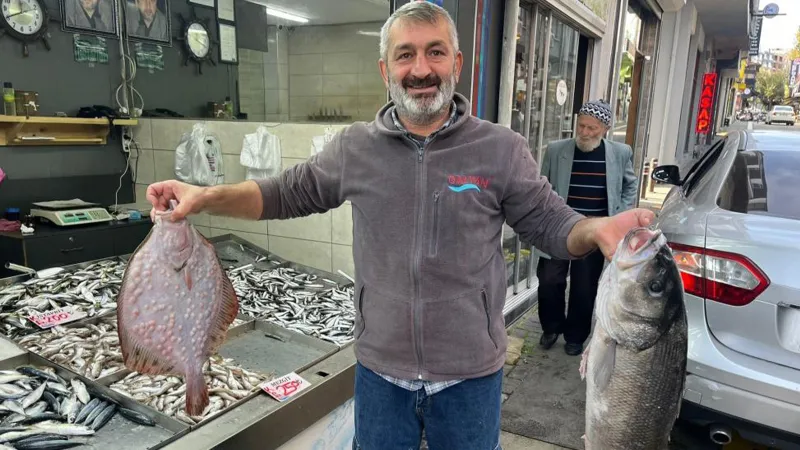 Dev Levrek Akçakoca'da Şoku Yarattı! Kilosu Ne Kadar?