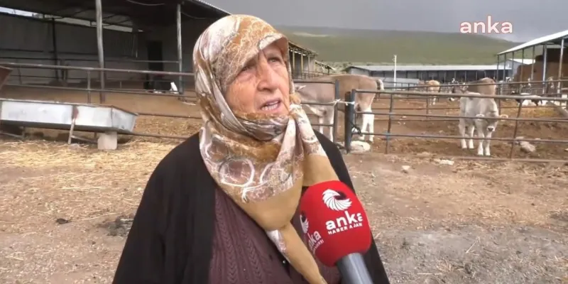 74'lük Emine Teyze'nin Feryadı: Çiftçi Olmak Böyle Mi Olur?