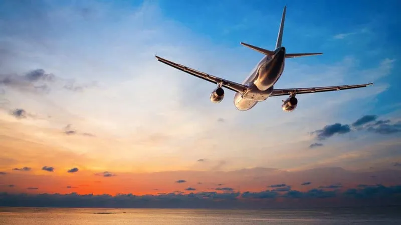 Avustralya'da Uçak Kazası! Pilotun Acı Sonu