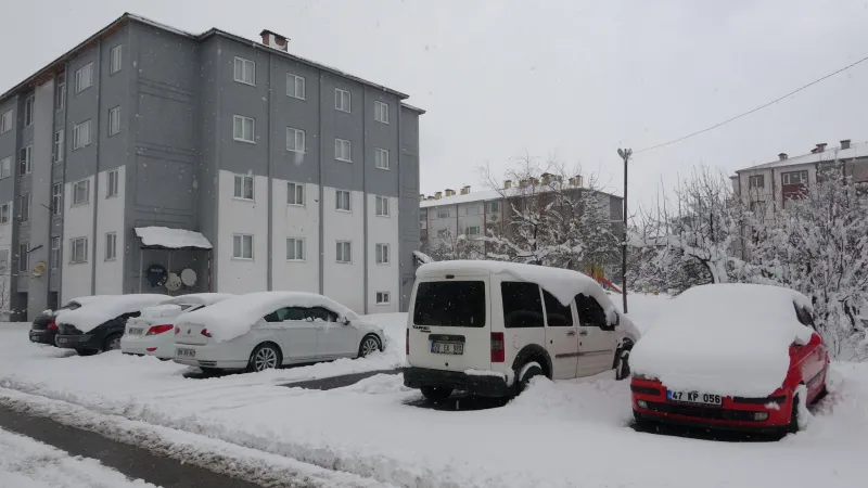 Bitlis'te Kar Esareti! 60 Köy Yolu Ulaşıma Kapandı!