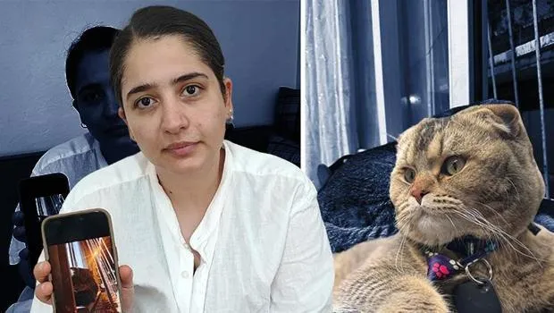 Kedi Kayboldu, Evlilik Tehlikede! 15 Bin TL Ödül Şart!