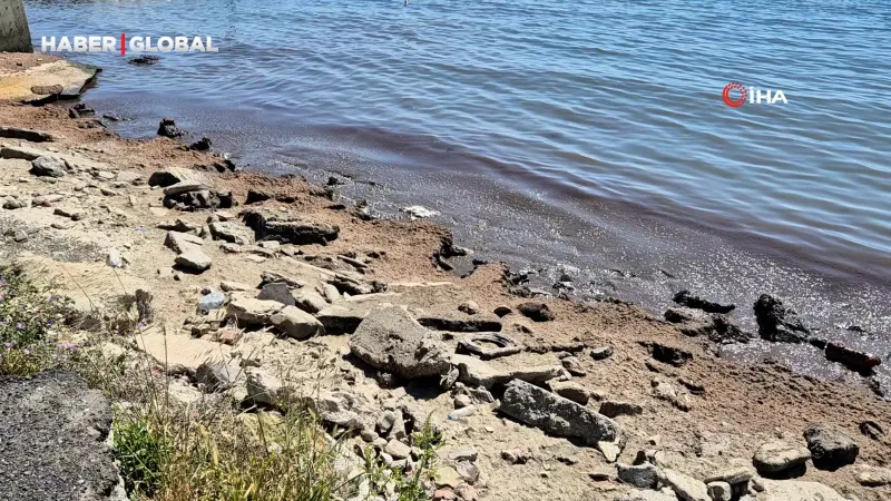 Tekirdağ'da Kızıl Alarm! Marmara Denizi Yosun Tarlasına Döndü
