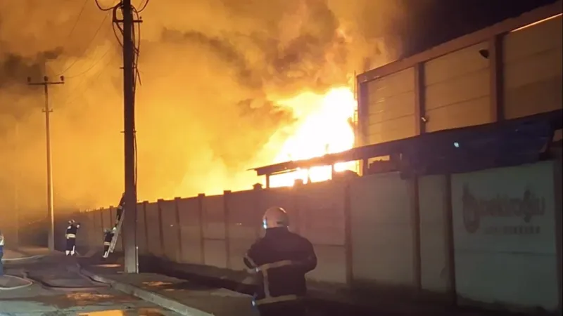 Samsun'da Geri Dönüşüm Fabrikasında Korkunç Yangın! Neler Oluyor?