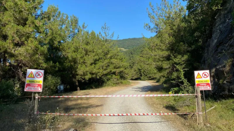 Samsun'da Ormanlara Giriş Yasağı! İşte Detaylar