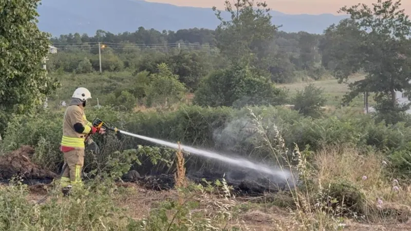 Yol kenarına atılan izmarit, otluk alanda yangına neden oldu